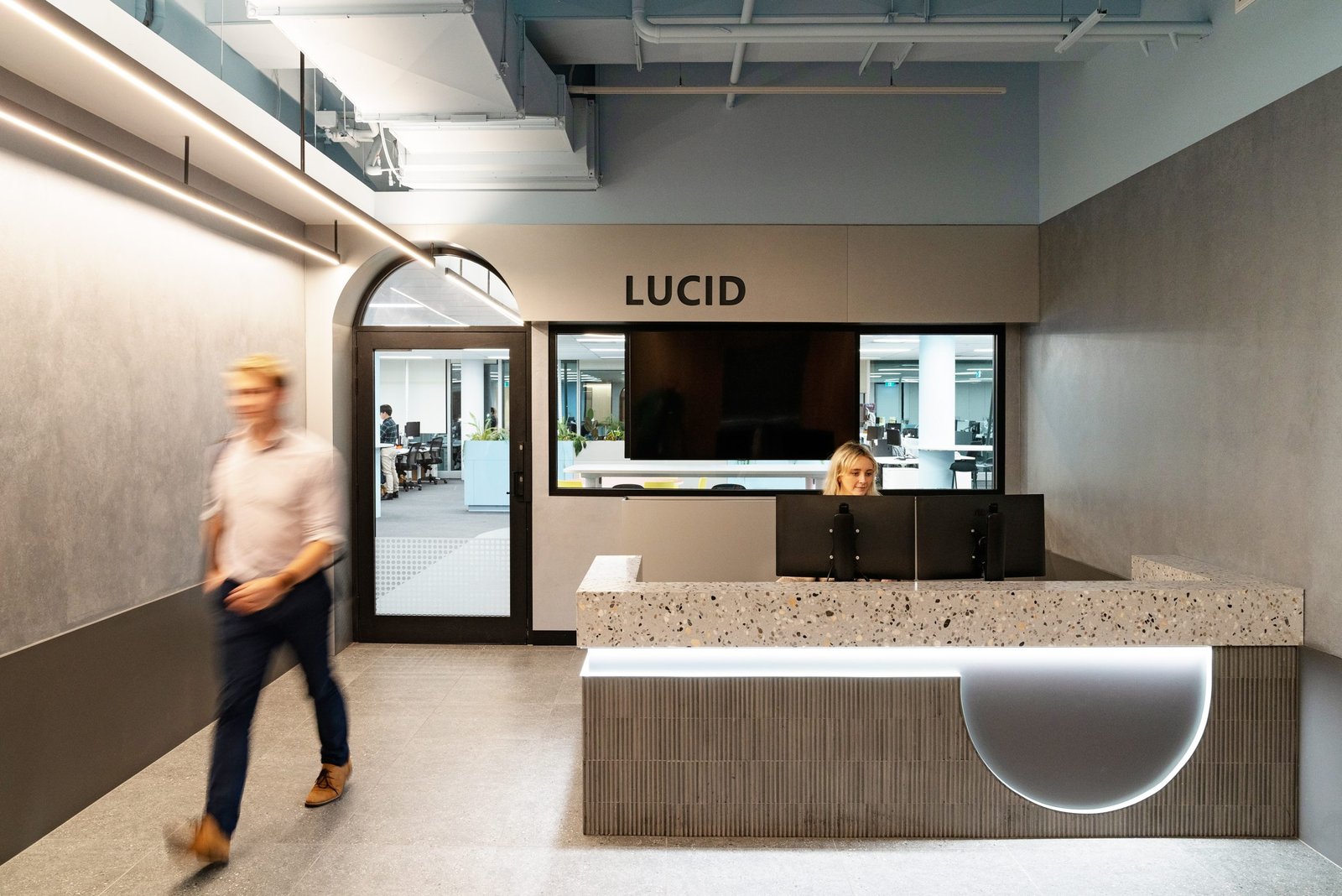 LUCID CONSULTING