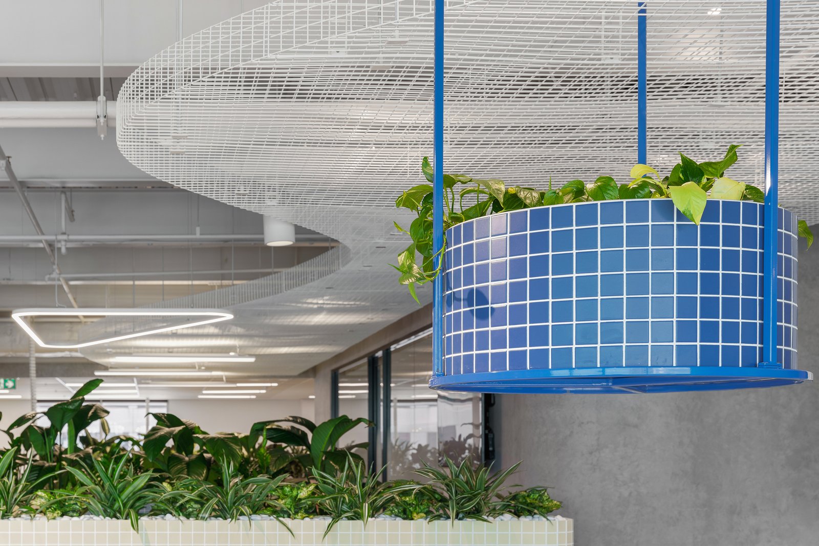 Epic Energy Biophilic Design Workplace